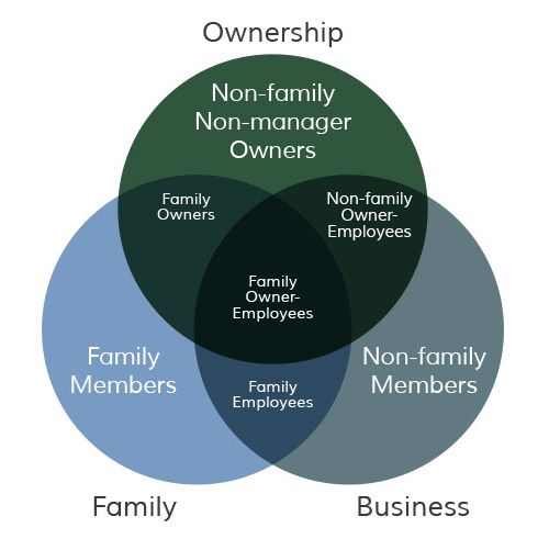 How the Three-Circle Model Elevates Family Business Governance Standards