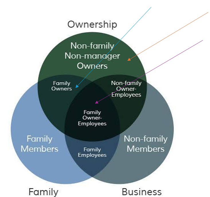 Sibling Rivalries and How Family Businesses Can Overcome Their Harmful Effects